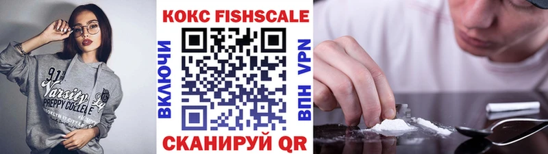 где купить наркотик  Касли  Cocaine Fish Scale 