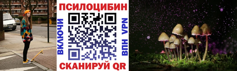 Галлюциногенные грибы MAGIC MUSHROOMS  mega онион  Касли 